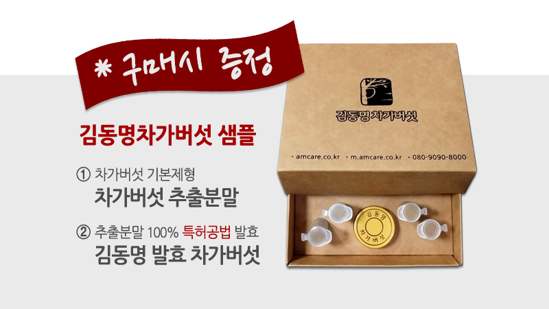 김동명차가버섯 제품 구매시 차가버섯 샘플 박스 증정